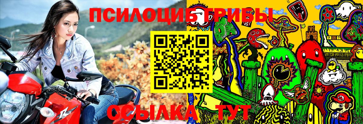 Моздок  Псилоцибиновые грибы GOLDEN TEACHER  магазин продажи наркотиков  Псилоцибиновые грибы Magic Shrooms  Вход с VPN 