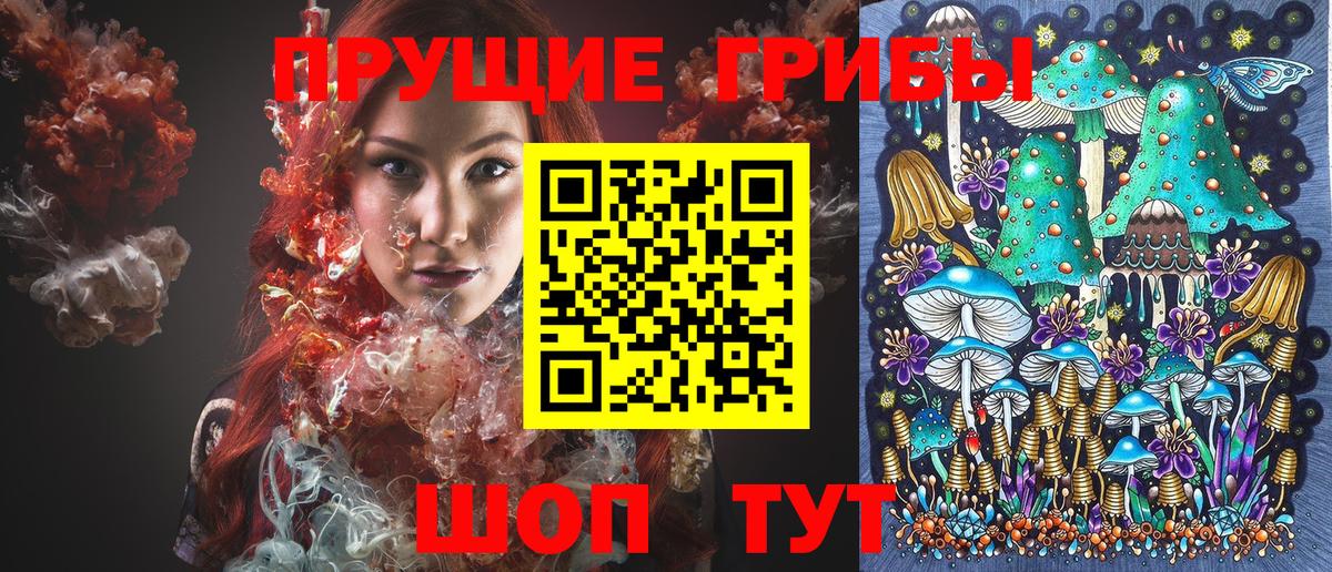 ГАШ Моздок