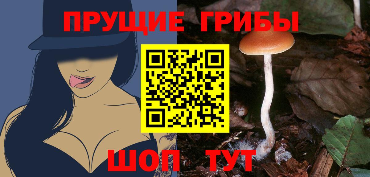Псилоцибиновые грибы MAGIC MUSHROOMS Моздок