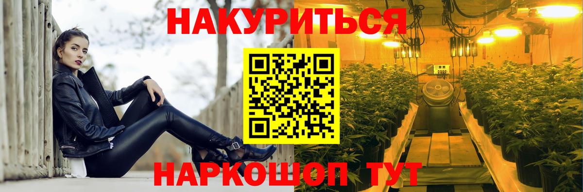 Бошки Шишки план Моздок